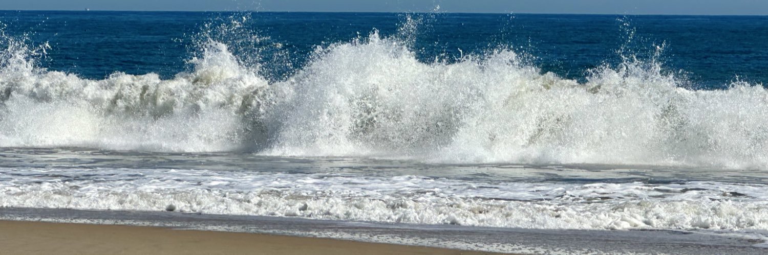 StacyATRetired banner