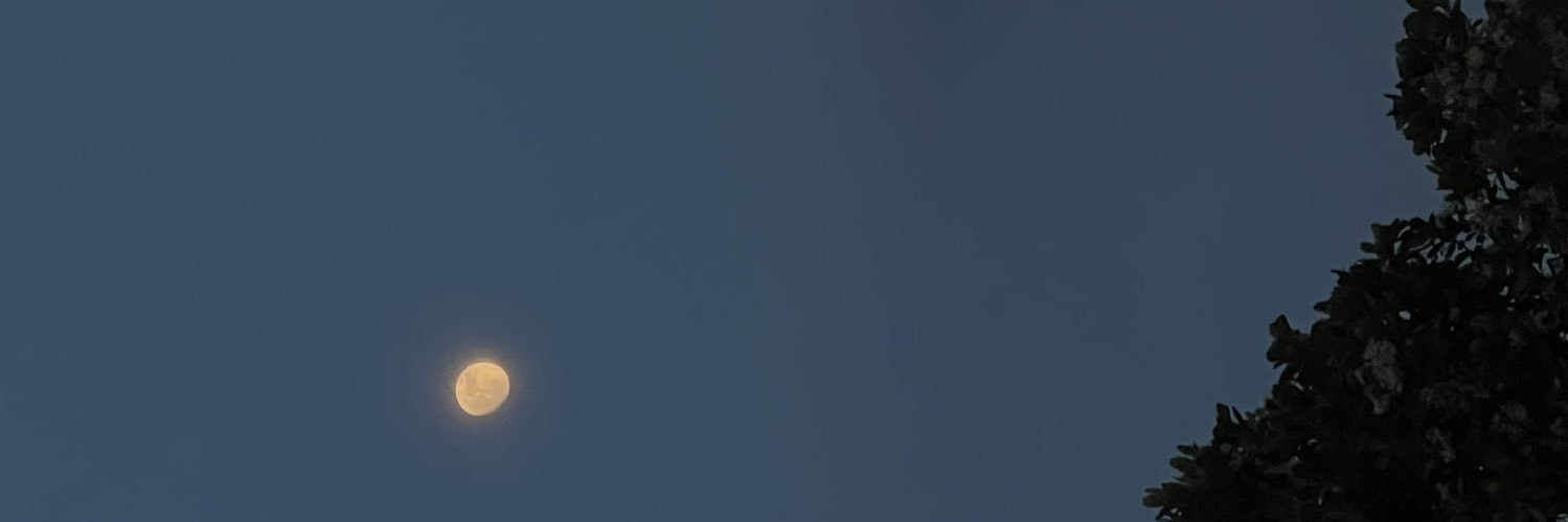 _aaalyssaM's profile banner image