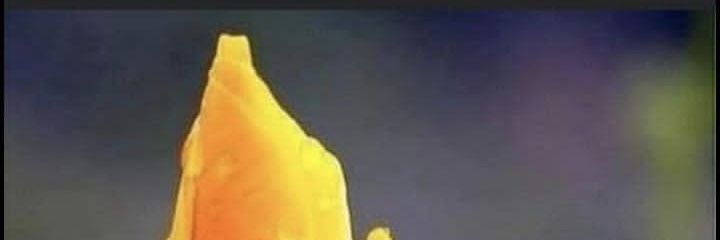 wahaj92's profile banner image