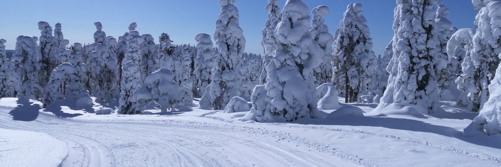 virsiheimo's profile banner image