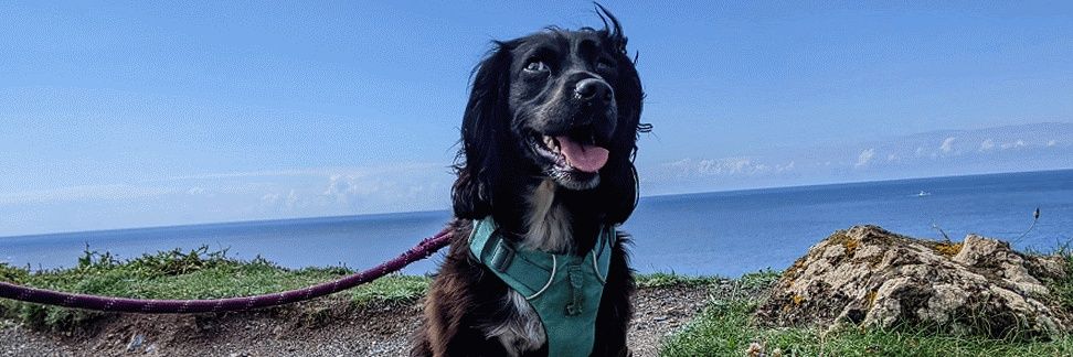 Padmore's profile banner image