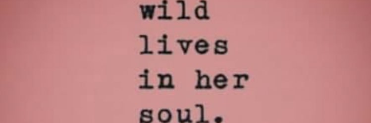 saylor_kayla's profile banner image