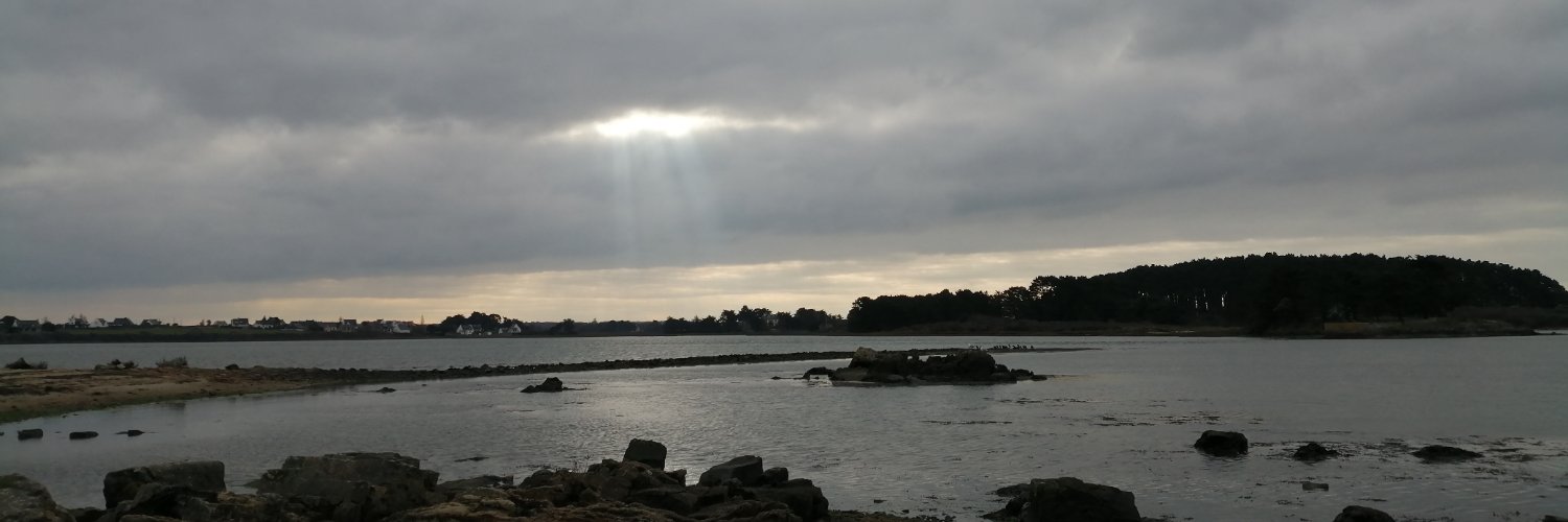 BenedSenlis_Я #Ⓩ ✝️=♥#GiletJaune - Mat.19370 banner