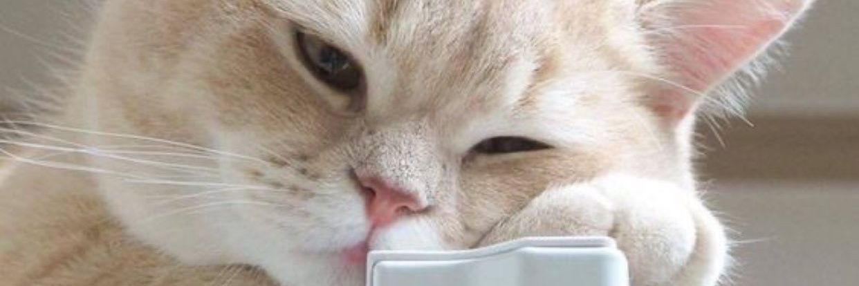 Sucindahsary's profile banner image