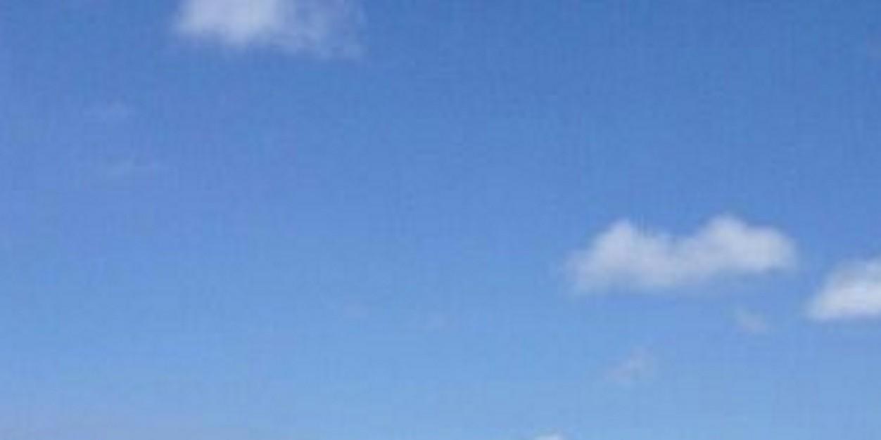 Cleitiin_ASF's profile banner image