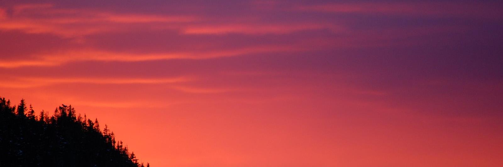 Fernand Lachaine banner