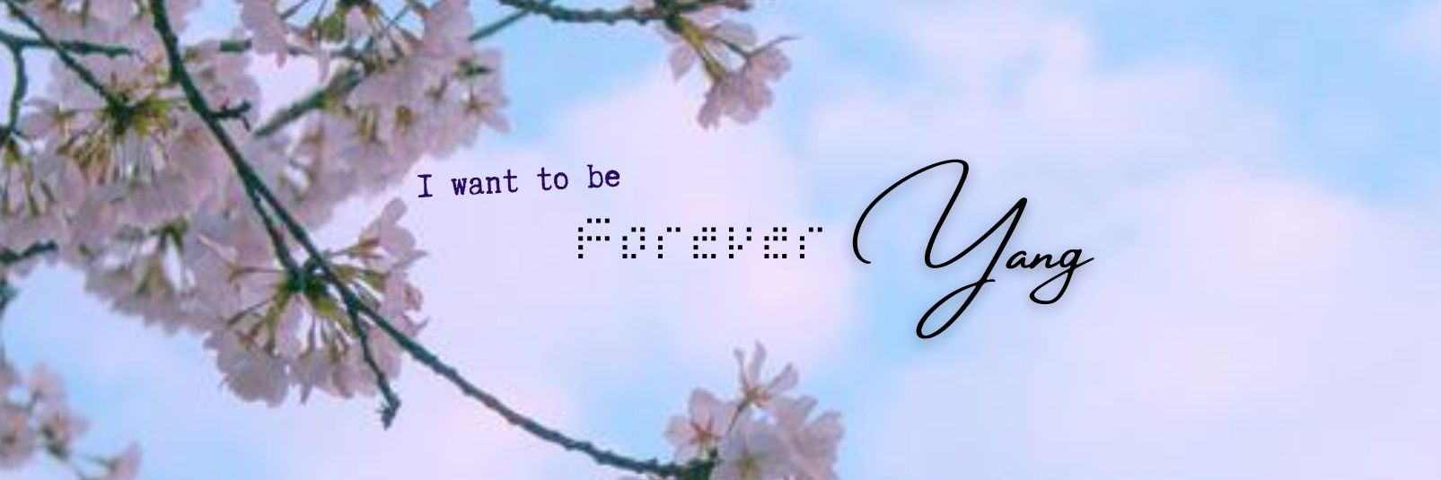 yang_cu10's profile banner image