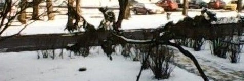 Witold97's profile banner image