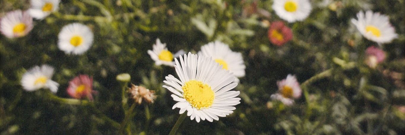 Jeni_032's profile banner image
