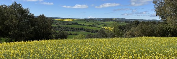 roser_lr Profile Banner