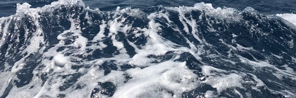 limtzehern's profile banner image