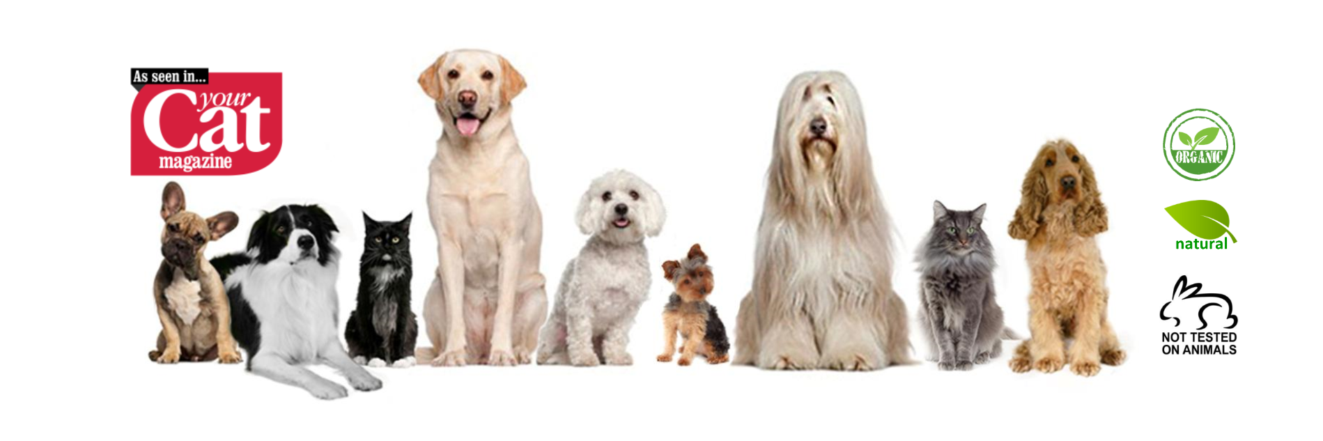 ParagonPet's profile banner image