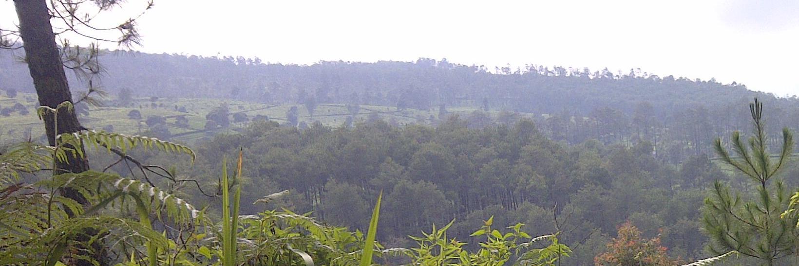 vinales19's profile banner image