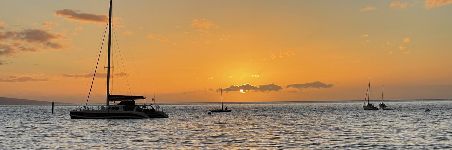 rick landsman banner