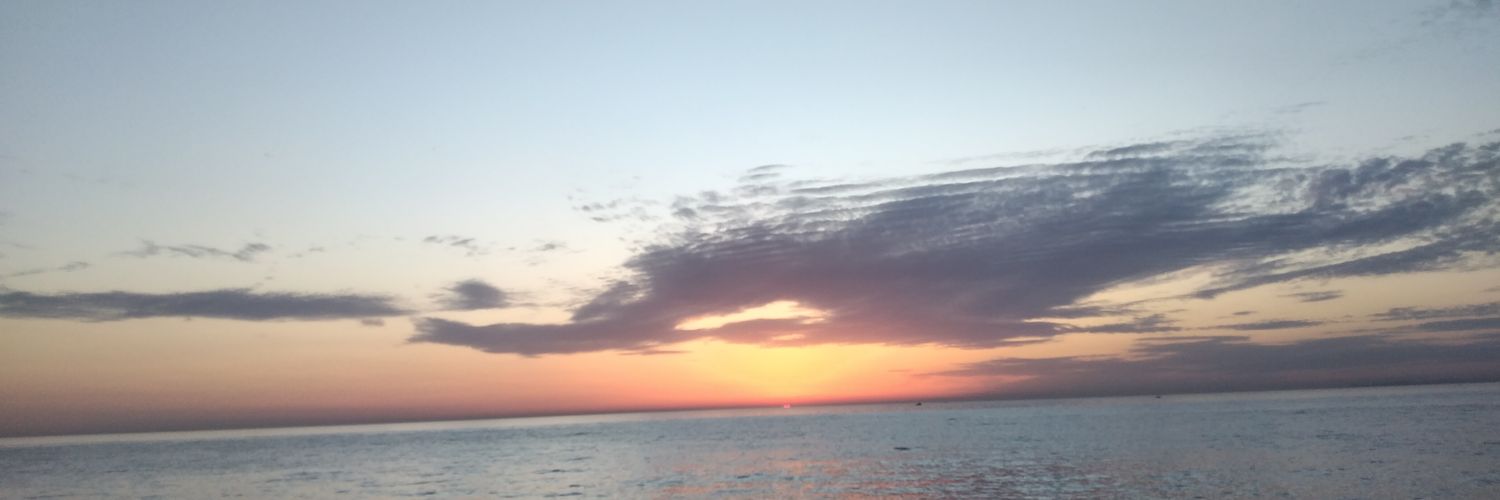 raniaothman2's profile banner image