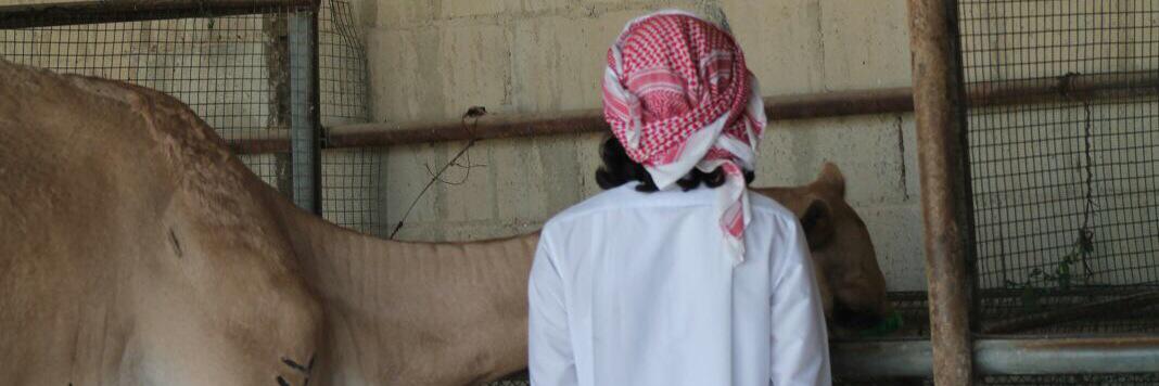 MBSAL3aZB's profile banner image