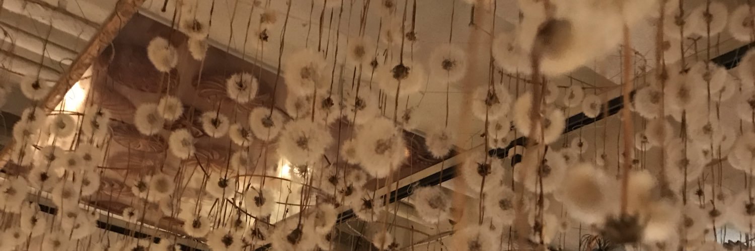 cccccccccc08's profile banner image