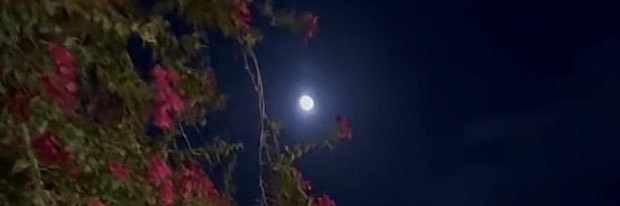 رسيـل💛 banner