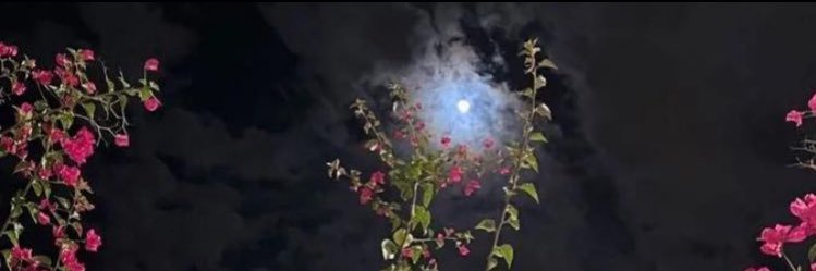 رسيل. banner