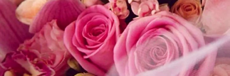 1rs1o's profile banner image