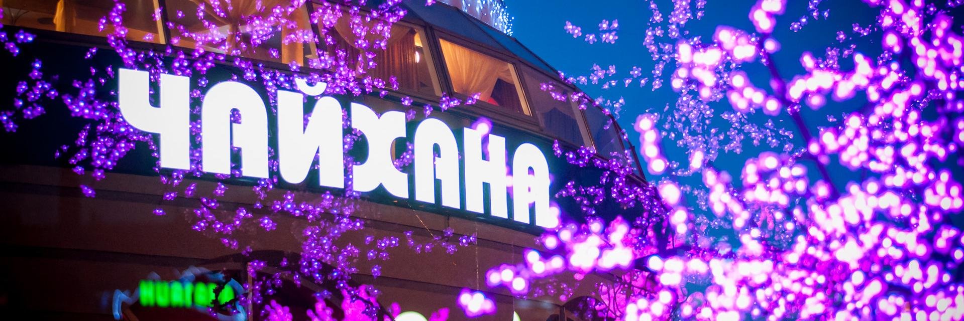 VZ_Veranda's profile banner image