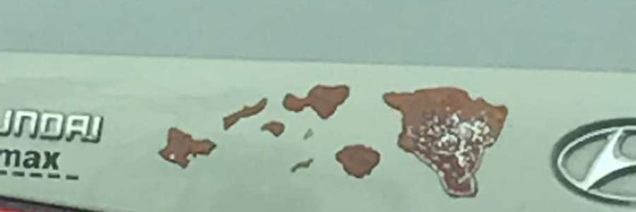 Lei's banner