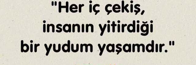 35Ergul's profile banner image
