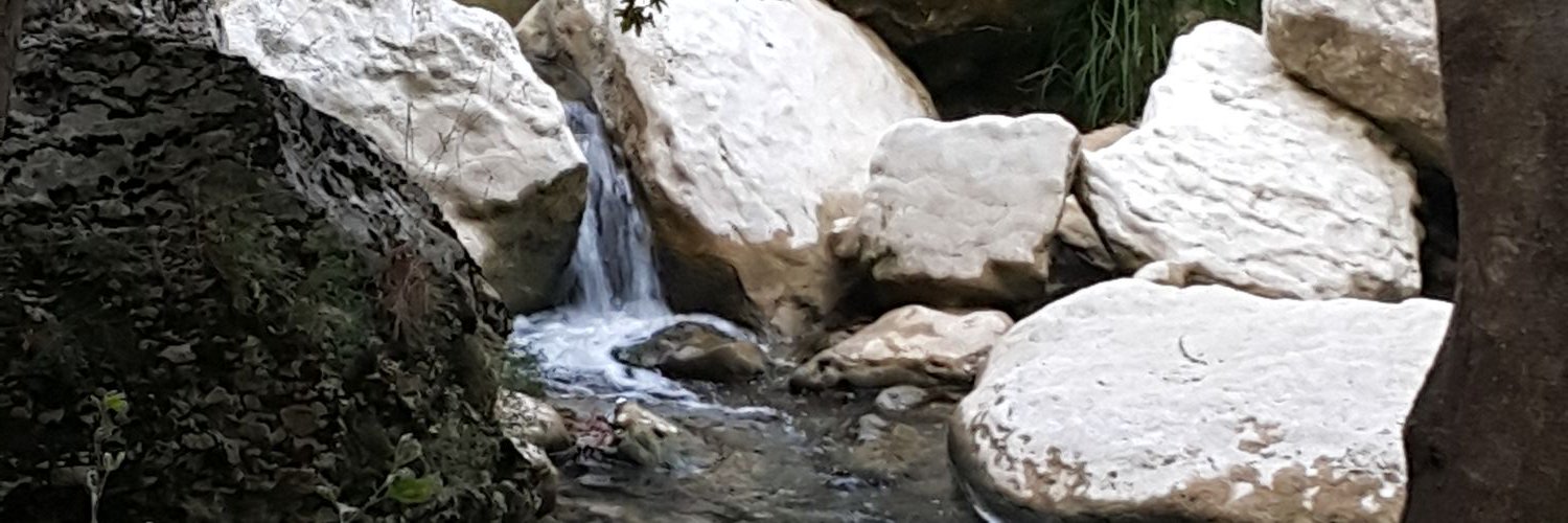 د. قرناس محمد القرناس banner