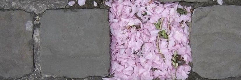 esrazen_'s profile banner image