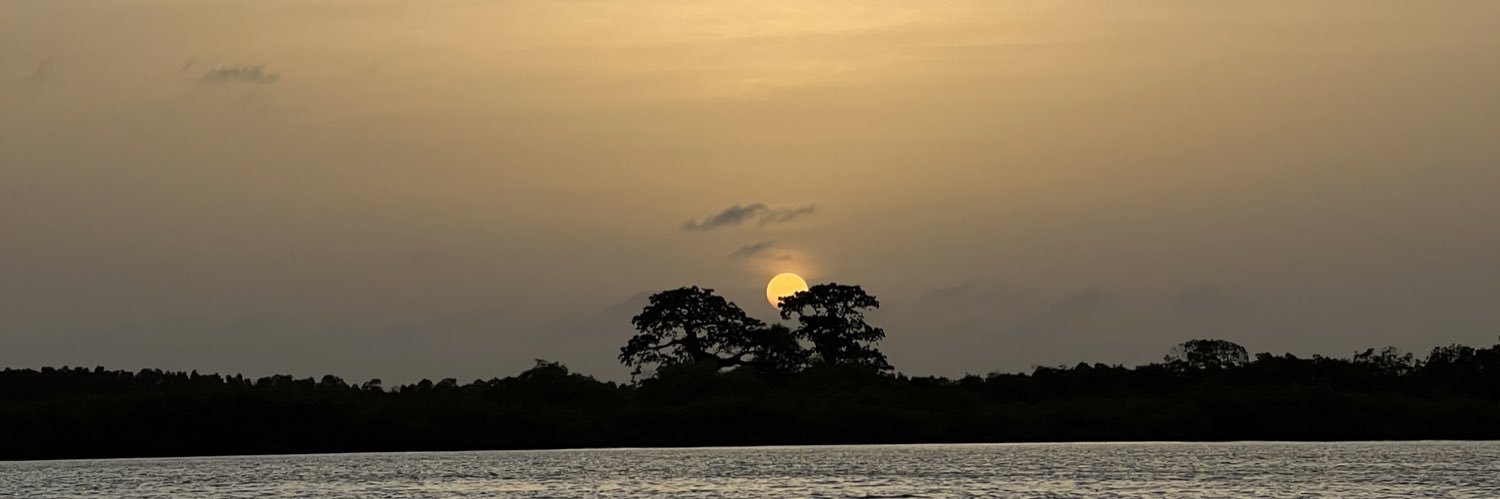 Florian Soudan banner