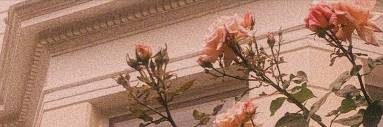 lamyaa219's profile banner image