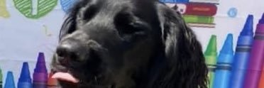 auntshel's profile banner image