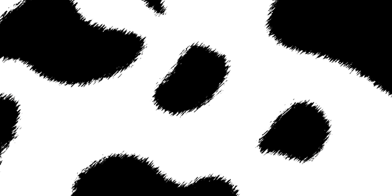 rocivalli's profile banner image