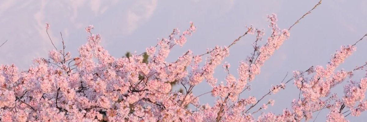 dcnsde's profile banner image