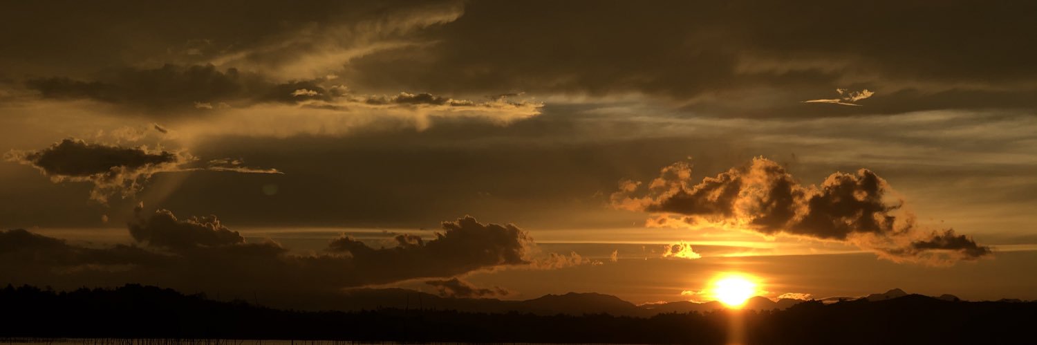 niconistic's profile banner image