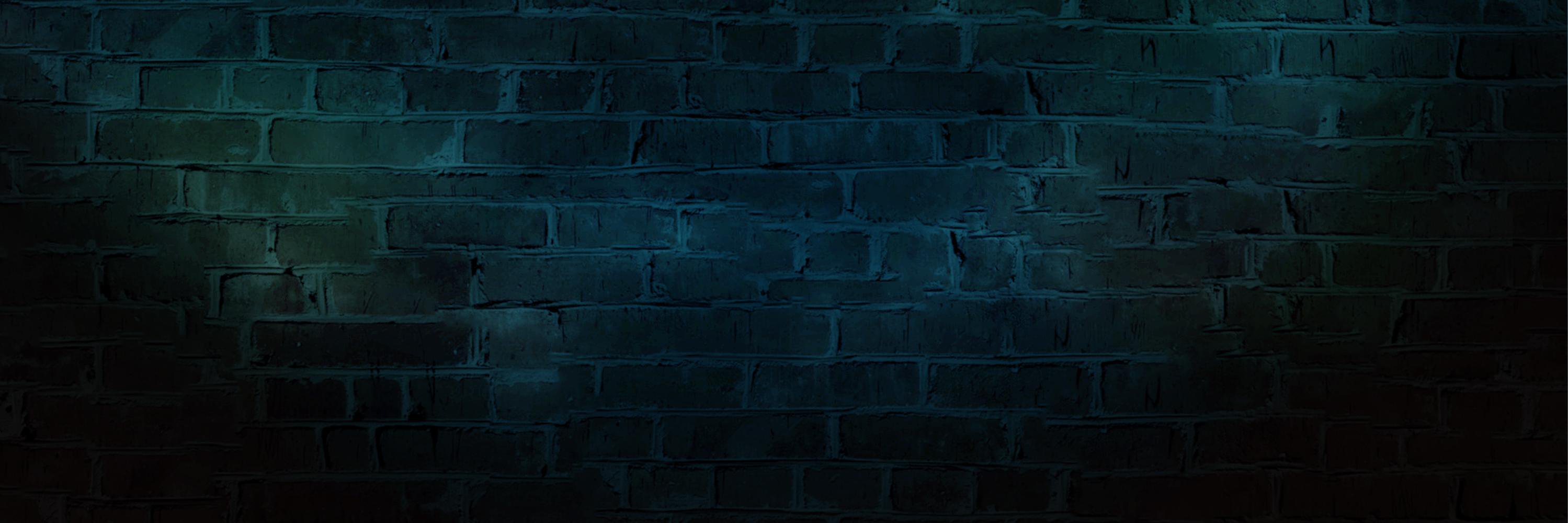CCFIS banner