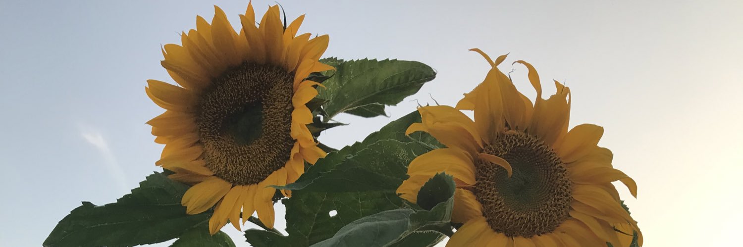 TheMurtLocker's profile banner image