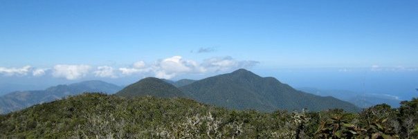 William Tantam banner