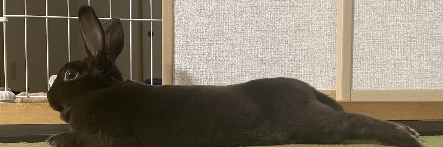 もりり banner
