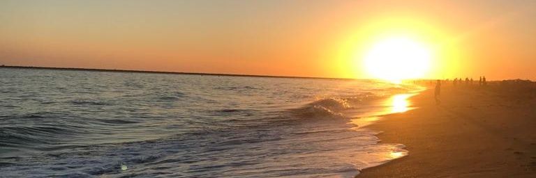 mmardp16's profile banner image