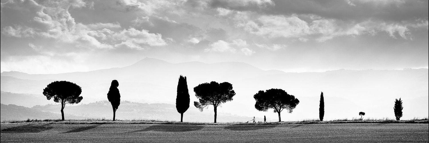 SozaDilan's profile banner image