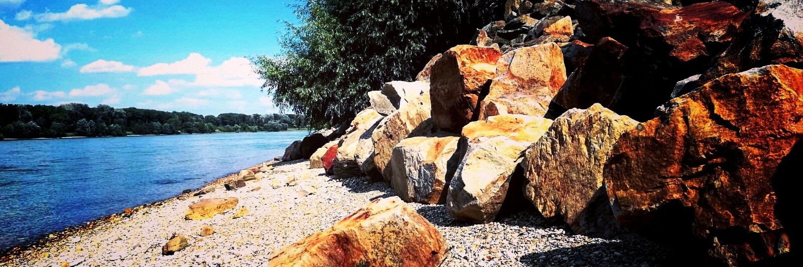 MichaelRMinassi's profile banner image