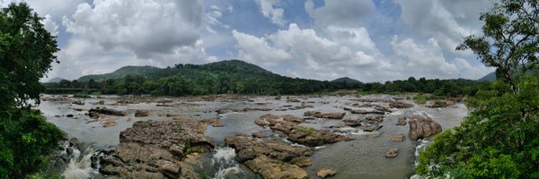 bodhispea Profile Banner