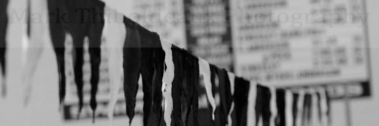 LS_Swim_Team's profile banner image