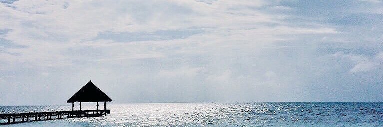 a301i's profile banner image