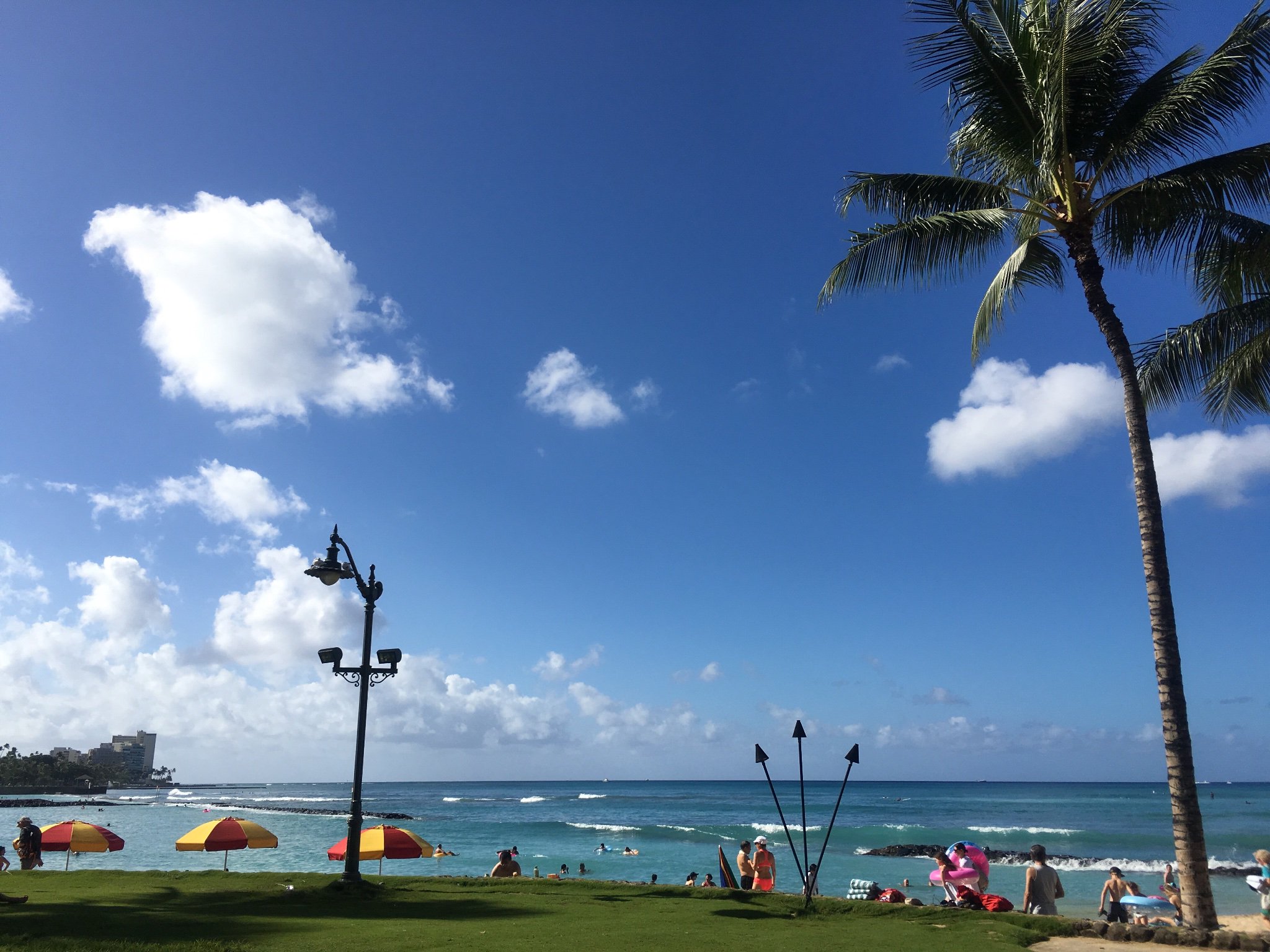 みるくぱん🍞 banner