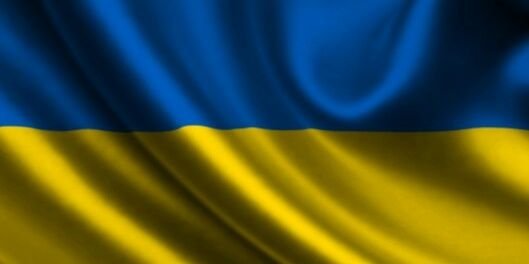 VITALVIN banner
