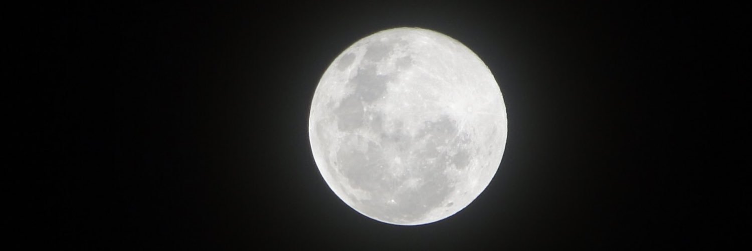 juliafelipeo's profile banner image
