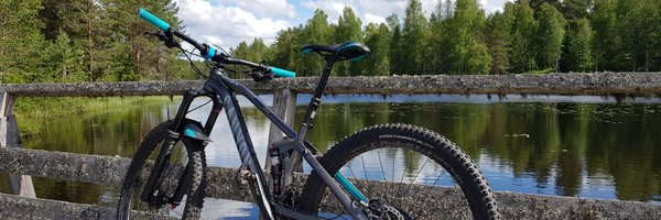 HelenaLindmark Profile Banner