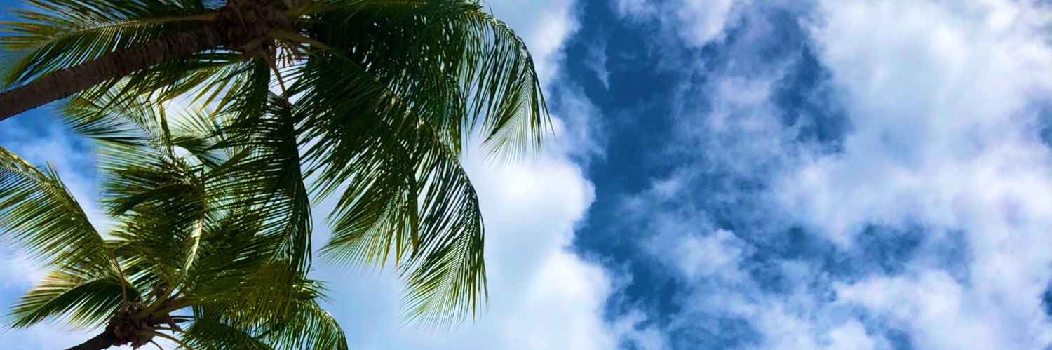 laur_for_sure's profile banner image